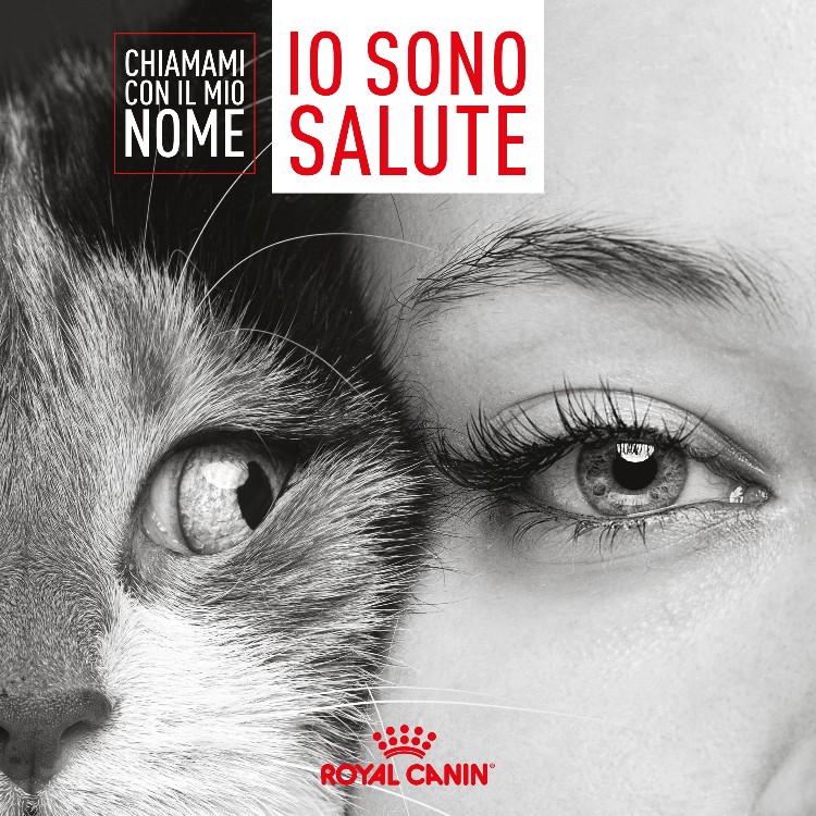 Royal Canin