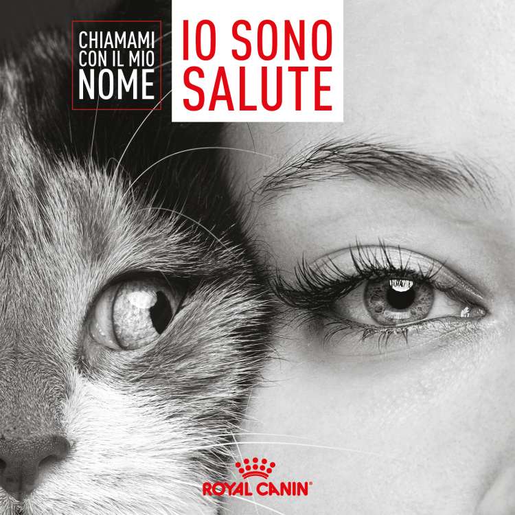 Royal Canin